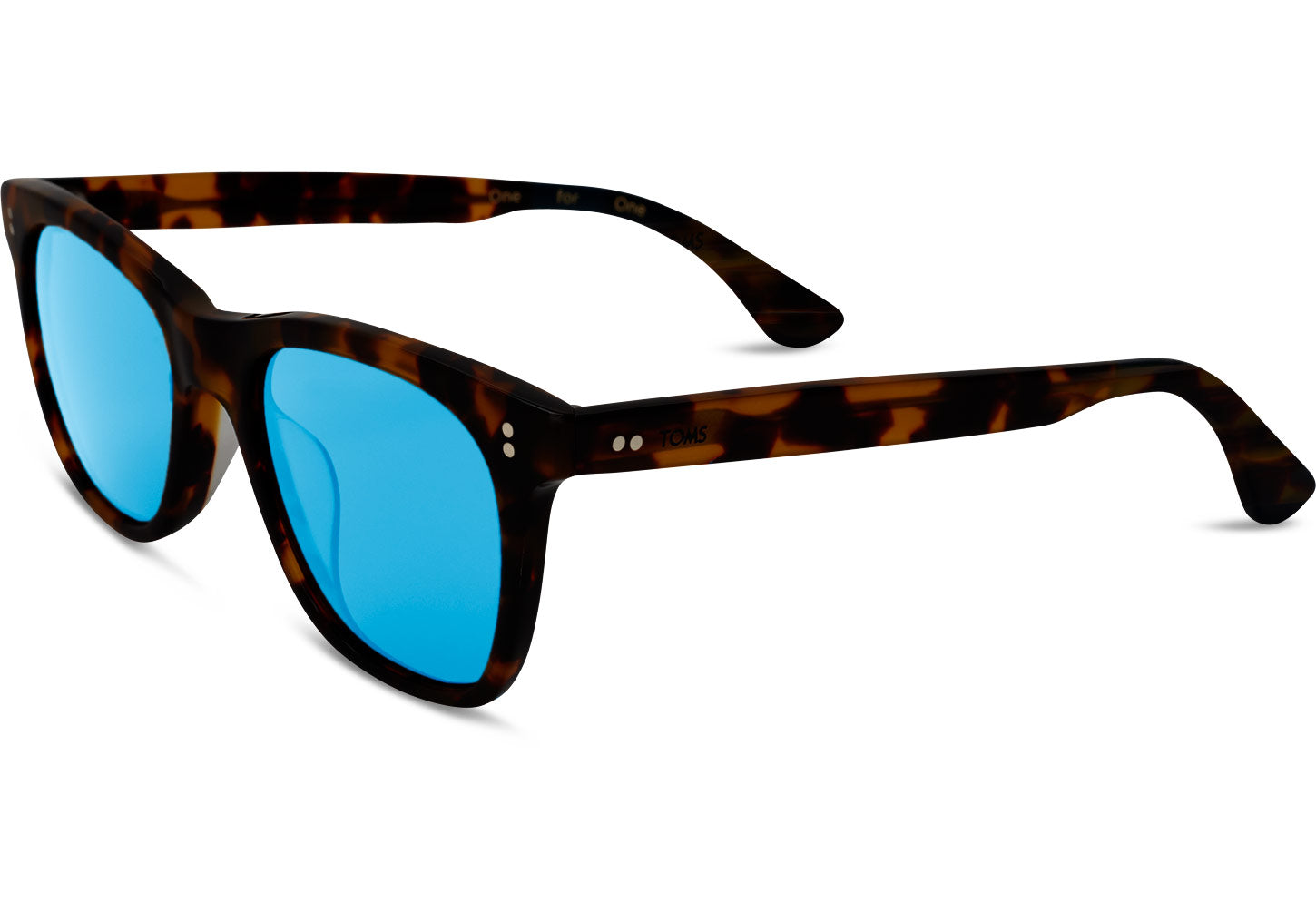 TOMS Eyewear | Fitzpatrick Shiny Dark Tortoise